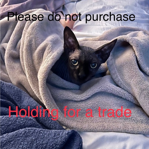 Jewelry - Vintage Art Nouveau Sterling Silver Purple Spinel Ring size 6.75 6 3/4